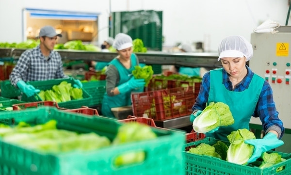 Job image of 7286 at CAREERLINK FACTORY CO., LTD.-0