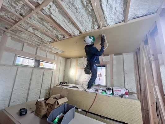 Imagen de trabajo 7228 en Kukino Co., Ltd-0