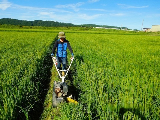 Imagen de trabajo 7857 en Turugasaki-Nousan Co., Ltd.-2