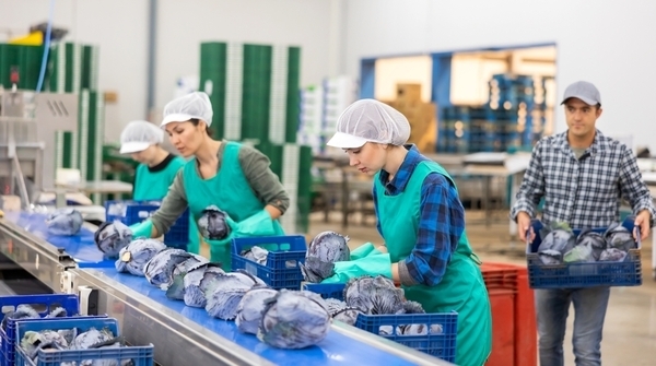 NIKKEN TOTAL SOURCINGの8823的招聘影像-0