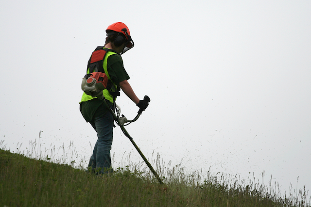 【Aichi】Grass Cutting Job on the Riverbed