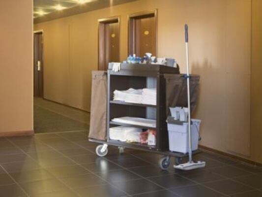 Imagen de trabajo 16932 en Green Maintenance-0