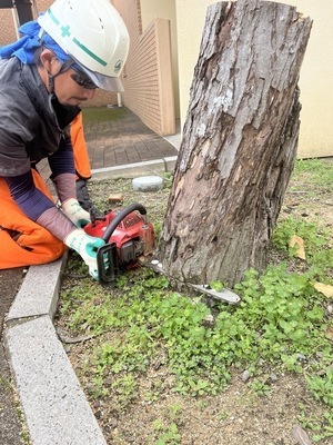 Job image of 16874 at Ozawa Zoen-0