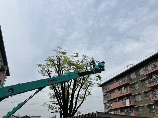 Job image of 16874 at Ozawa Zoen-4