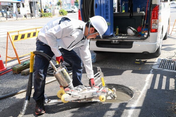 Imagem de emprego de 16955 em SUNSELF Co., Ltd.-4