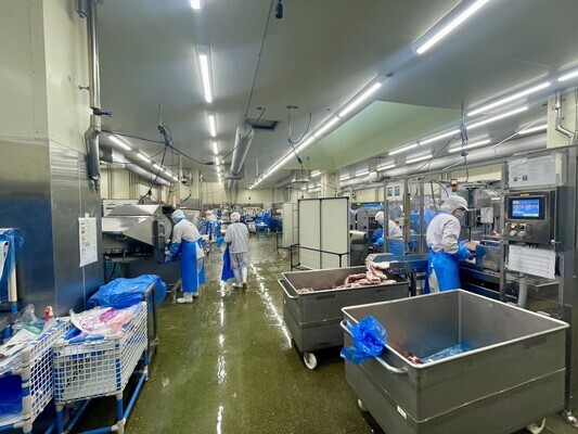Job image of 16897 at Elements Inc.-2