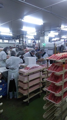 Gambar pekerjaan dari 18552 at Konomiya-1