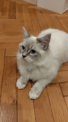 Job image of 18401 at Hags Entertainment Co., Ltd.  -1