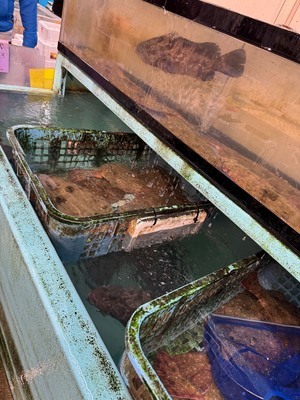 Job image of 18646 at KAWATETSU-1