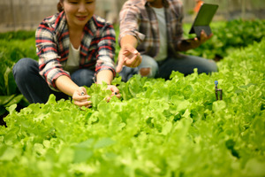 Job image of 18698 at Guidable Agency