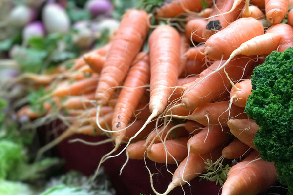 Job image of 18698 at Guidable Agency-1