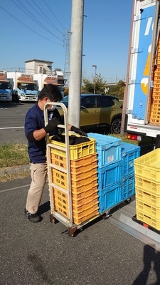 Imagem de emprego de 18727 em Igarashi Reizo Co., Ltd.-2