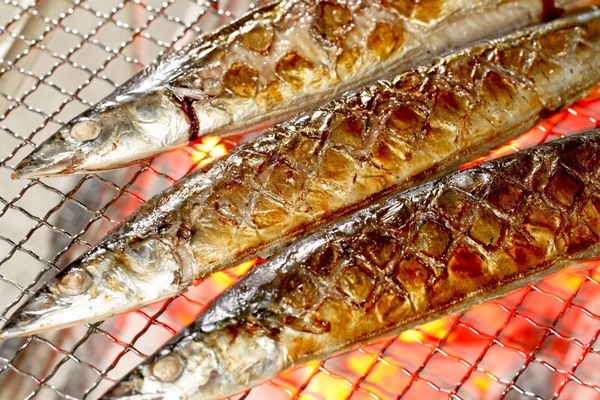 |株式{かぶしき}|会社{がいしゃ}|魚{うお}|日出{ひで}の18933の求人画像-0