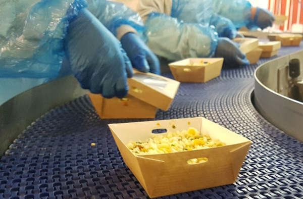 GENCHO ရှိ 18959 အတွက်အလုပ်ခေါ်ဓာတ်ပုံ-3