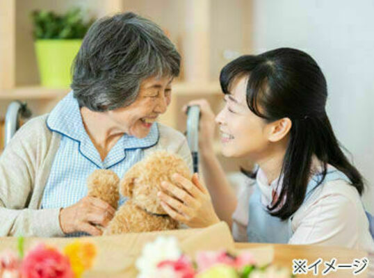 Job image of 18976 at Nikken Total Sourcing Inc. -2