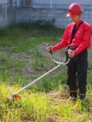 Job image of 19339 at TEAR Co.,Ltd.	-2