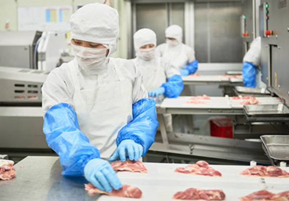 Imagem de emprego de 17532 em WBP GROUP CO.,LTD-2