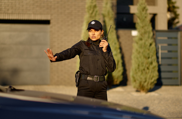 Job image of 20090 at L field.inc-4