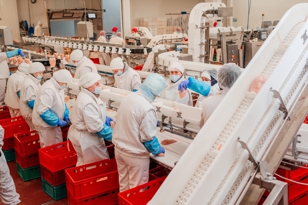 Imahe ng trabaho ng 20283 sa Lofty ltd-0