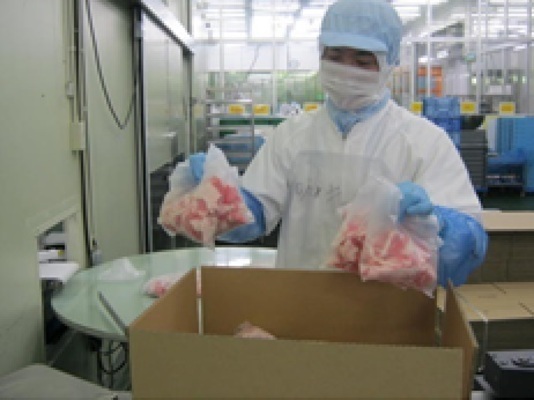 Job image of 20967 at Joyfull Co.,Ltd.-0
