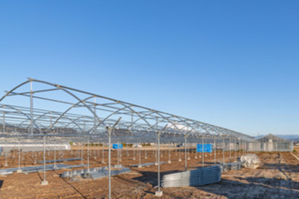 Job image of 21665 at JAPAN PLANNING Co. Ltd.-1