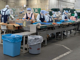 Kyodo Food Center Co., Ltd. ရှိ 22001 အတွက်အလုပ်ခေါ်ဓာတ်ပုံ